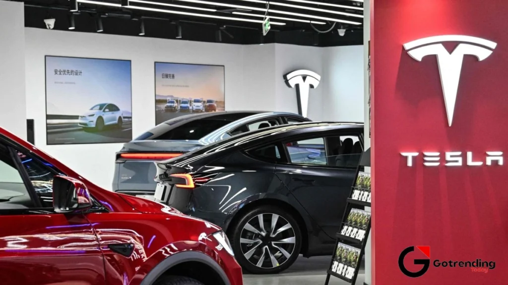 Price, Potholes, and Practicality | Would Tesla Even Work in India?