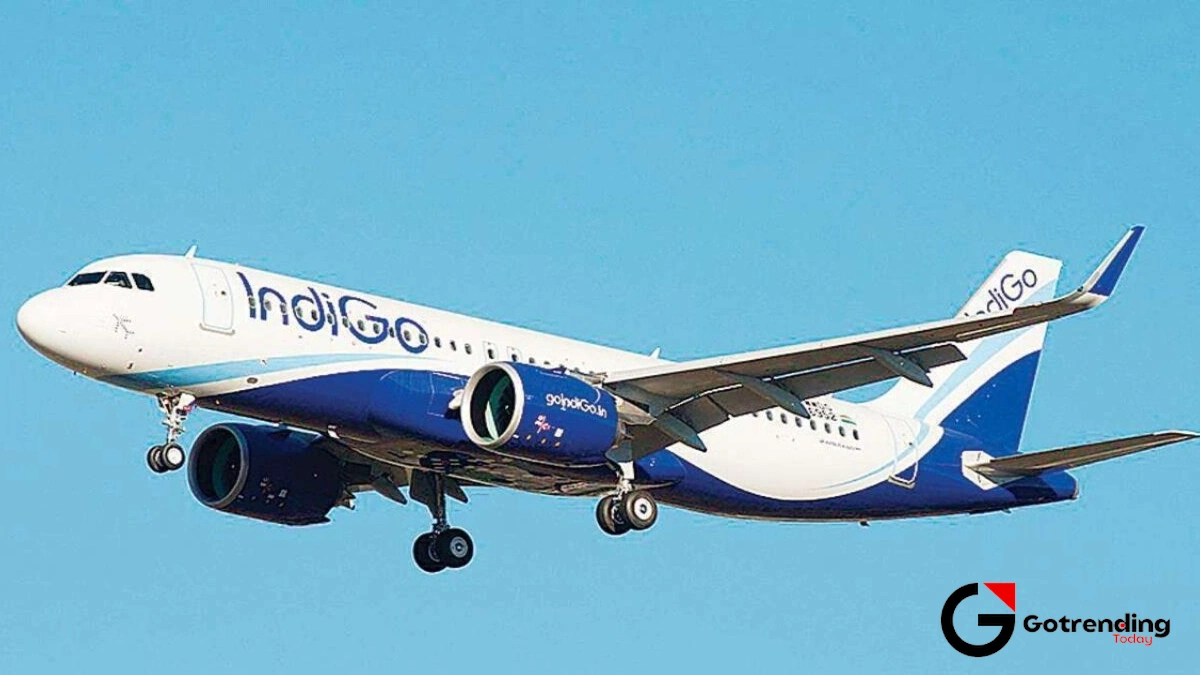 indigo share price