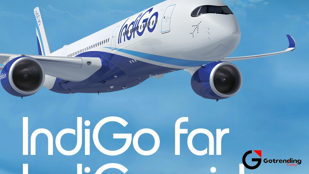 Beyond the Boarding Pass | What's Fueling the Indigo Share Price?