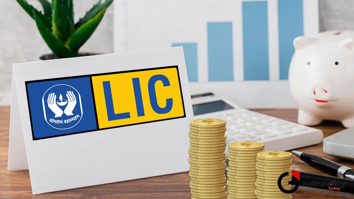 So, What Exactly Is This Behemoth Called LIC?