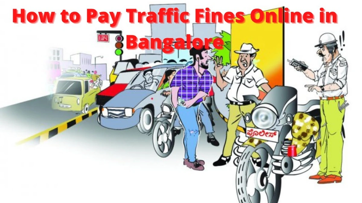 Your Step-by-Step Guide to Taming the Traffic Fine Beast