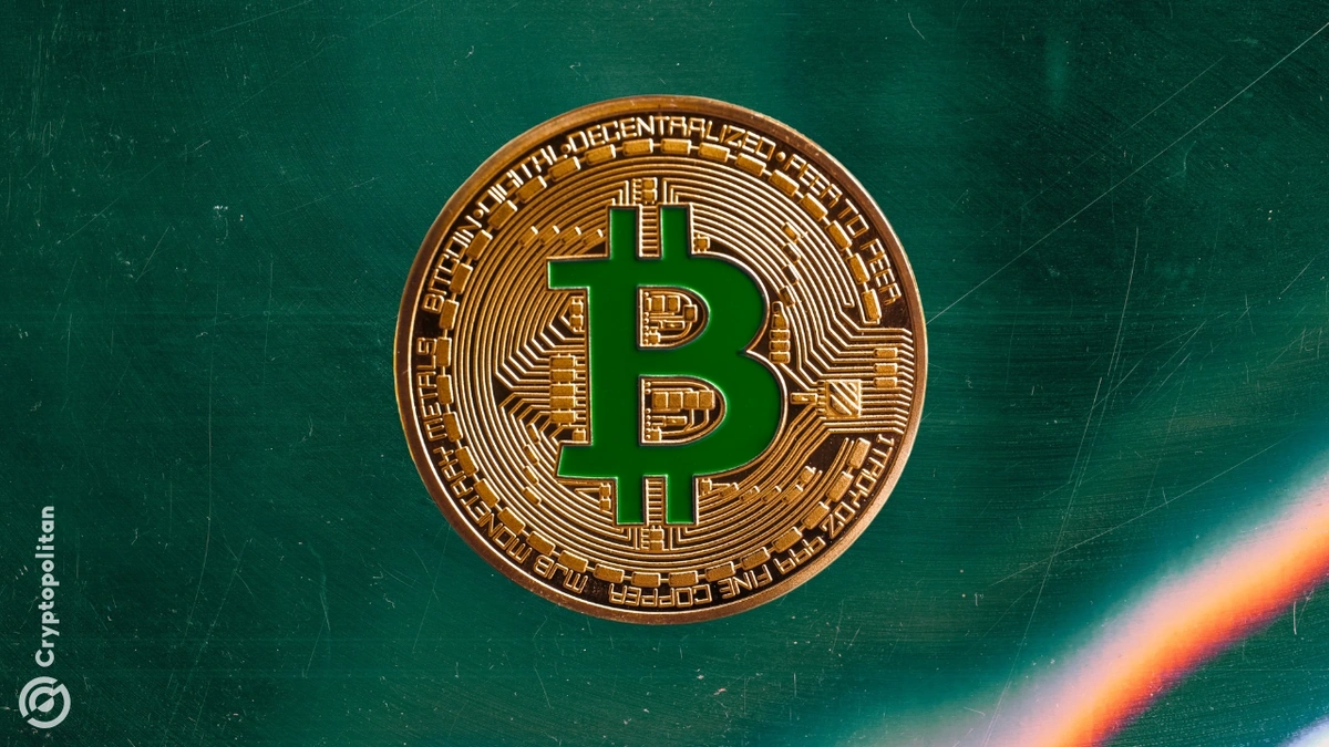 The 'Digital Gold' Argument | Is Bitcoin the New Safe Haven?