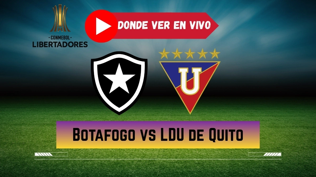 Why This Copa Libertadores Clash Matters for Group D