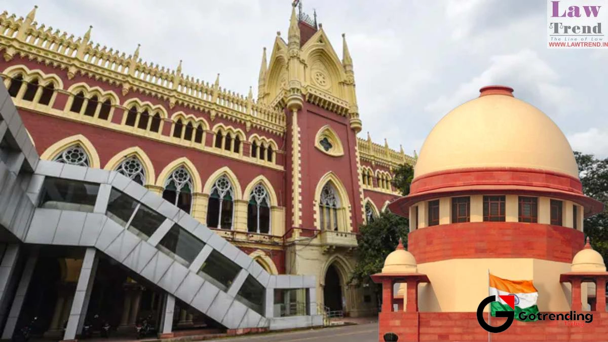 What Do These High Court Rulings Actually Mean for You?