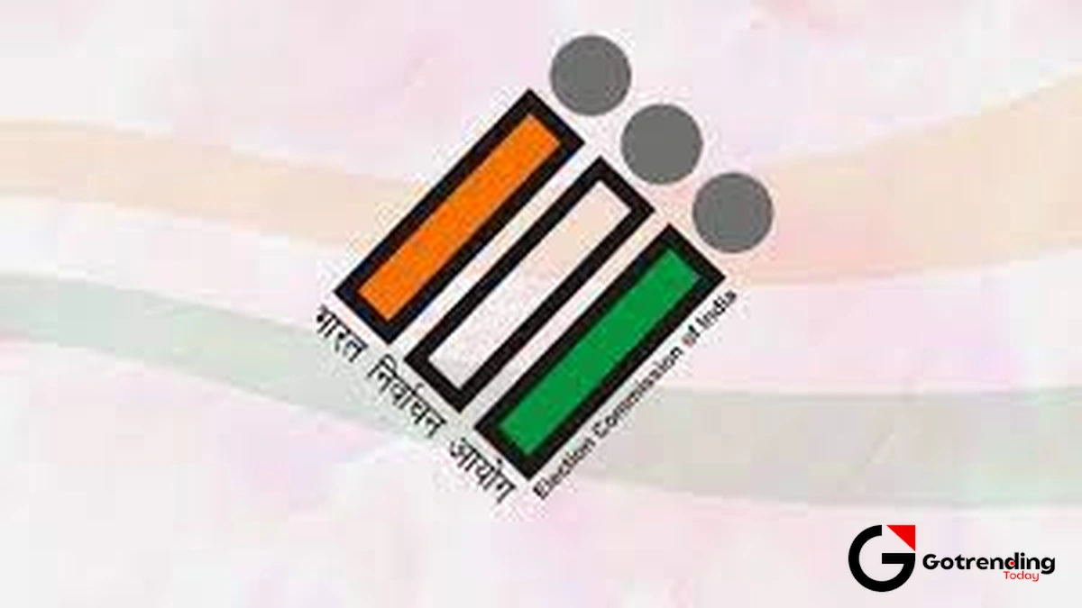 The Great EVM Debate and Trust in the Machine
