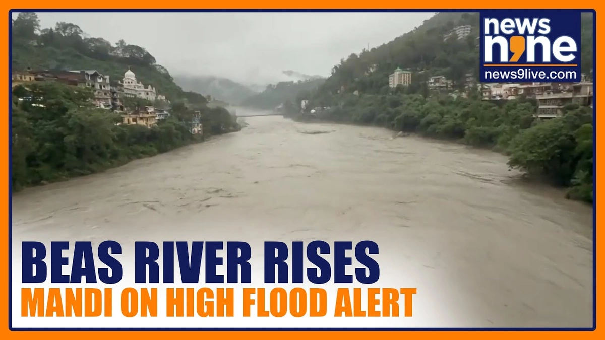 flood situation near beas river