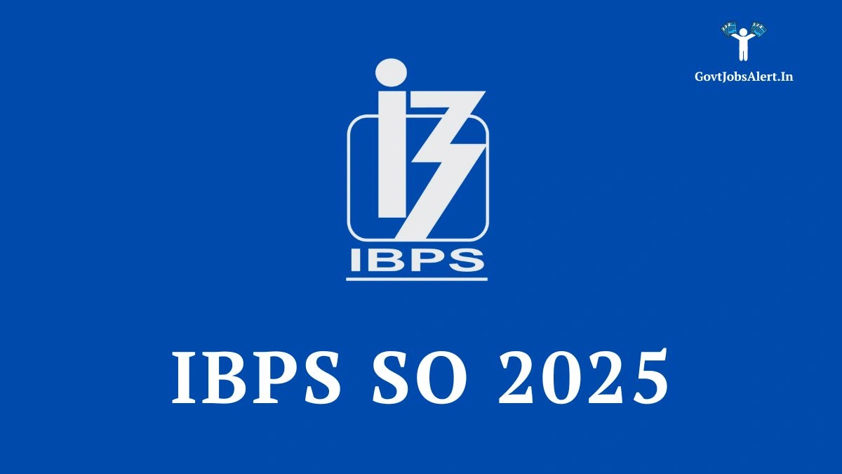 Beyond the Paycheck | A Look at the Real "IBPS SO Salary" and Career Path
