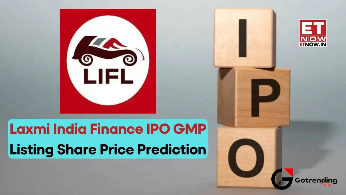 So, What Exactly Does Laxmi India Finance Do?