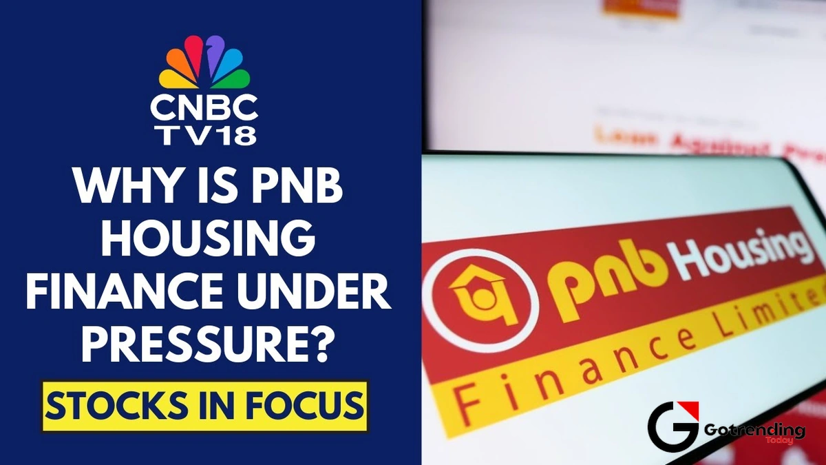 The Rollercoaster Ride of the PNB Housing Share Price