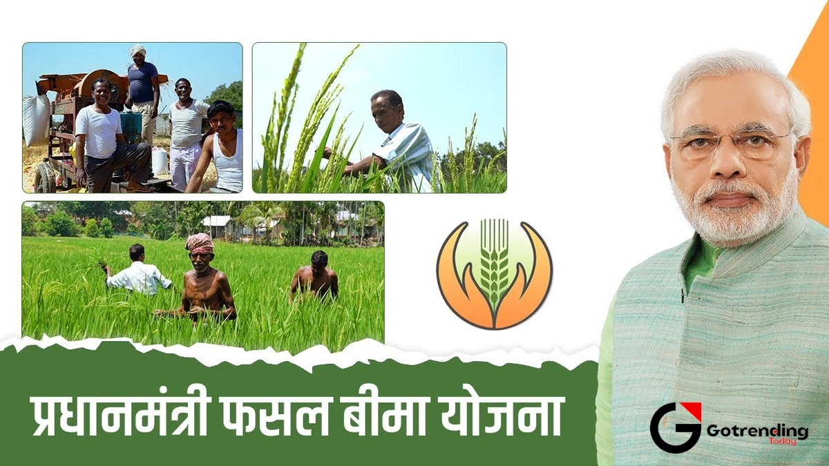 So, What Exactly is This Fasal Bima Yojana? (Let's Ditch the Jargon)