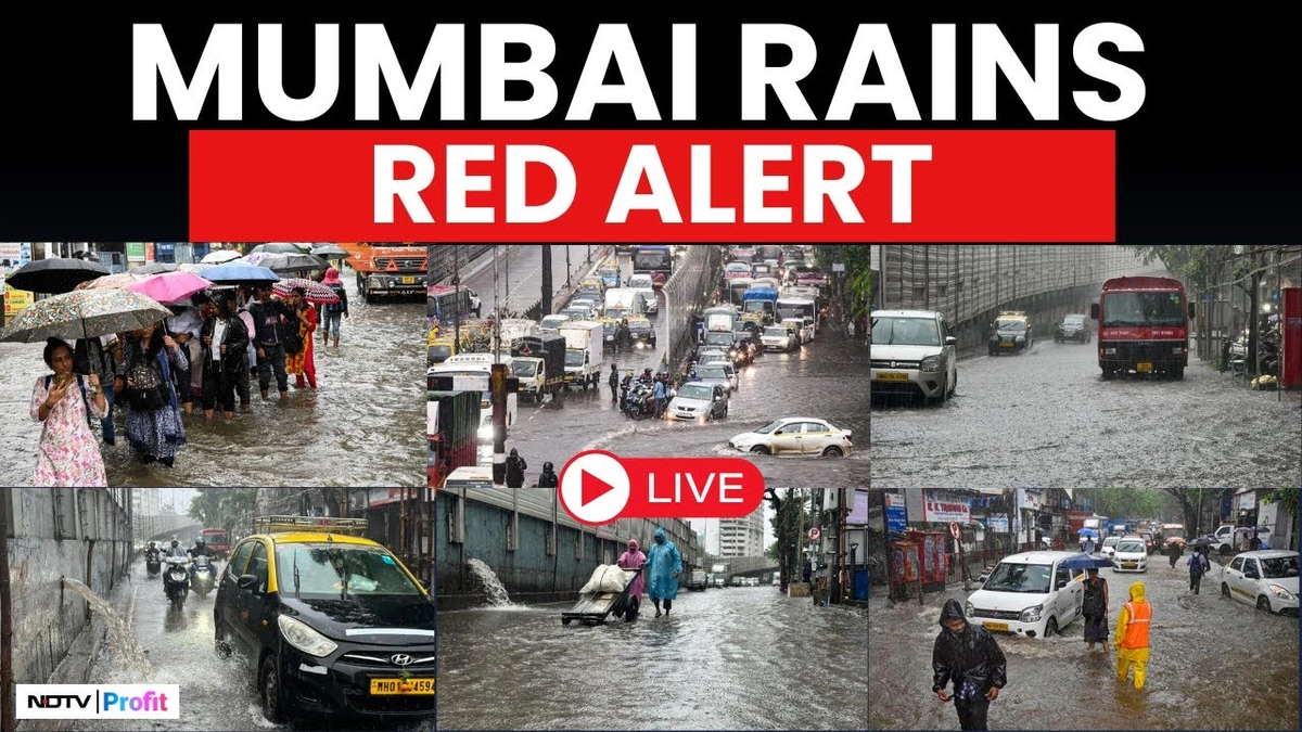 red alert in mumbai today live