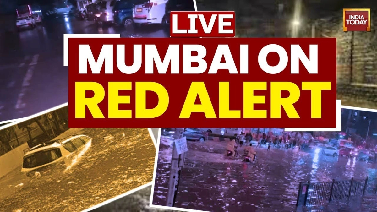 The Unseen Culprits | Why Mumbai Grinds to a Halt Every Single Year