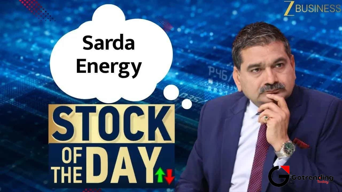 Decoding the Numbers: What’s Driving theSarda Energy Share Price?