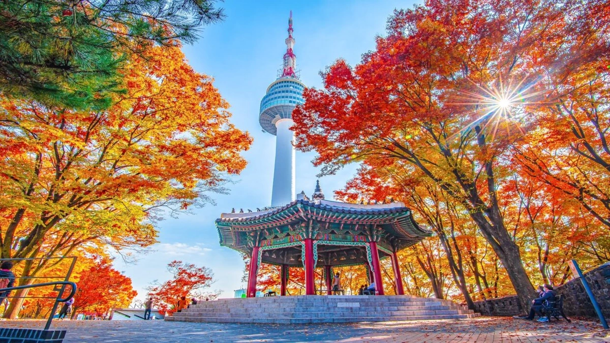 The 'Taegeukgi' Flies High | How Korea Celebrates Today