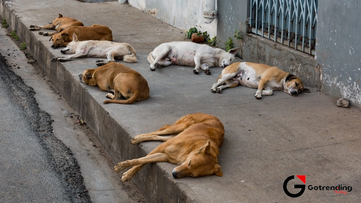 The Human Factor | Why Our Neighbourhoods are the Real Battleground