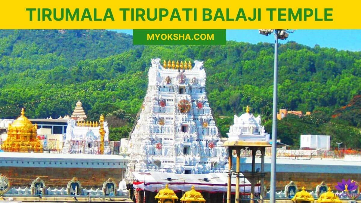 The Hundi and the Laddu | Symbols of a Spiritual Economy