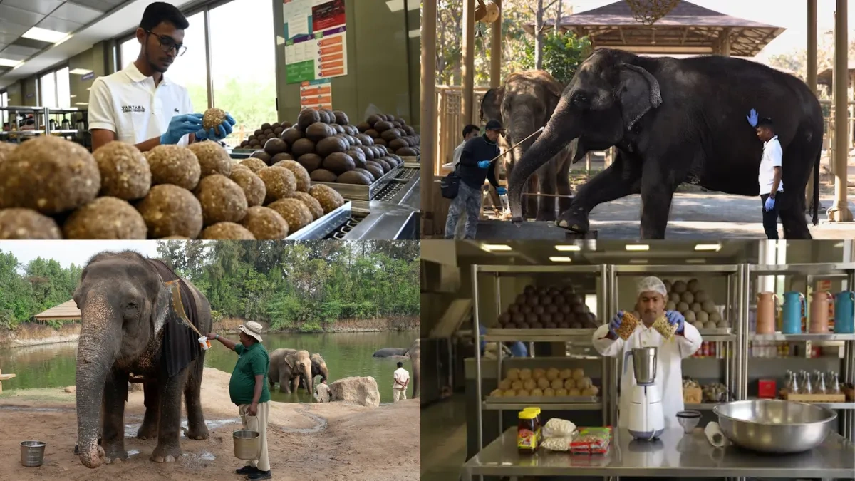 A New Blueprint for Conservation in India?