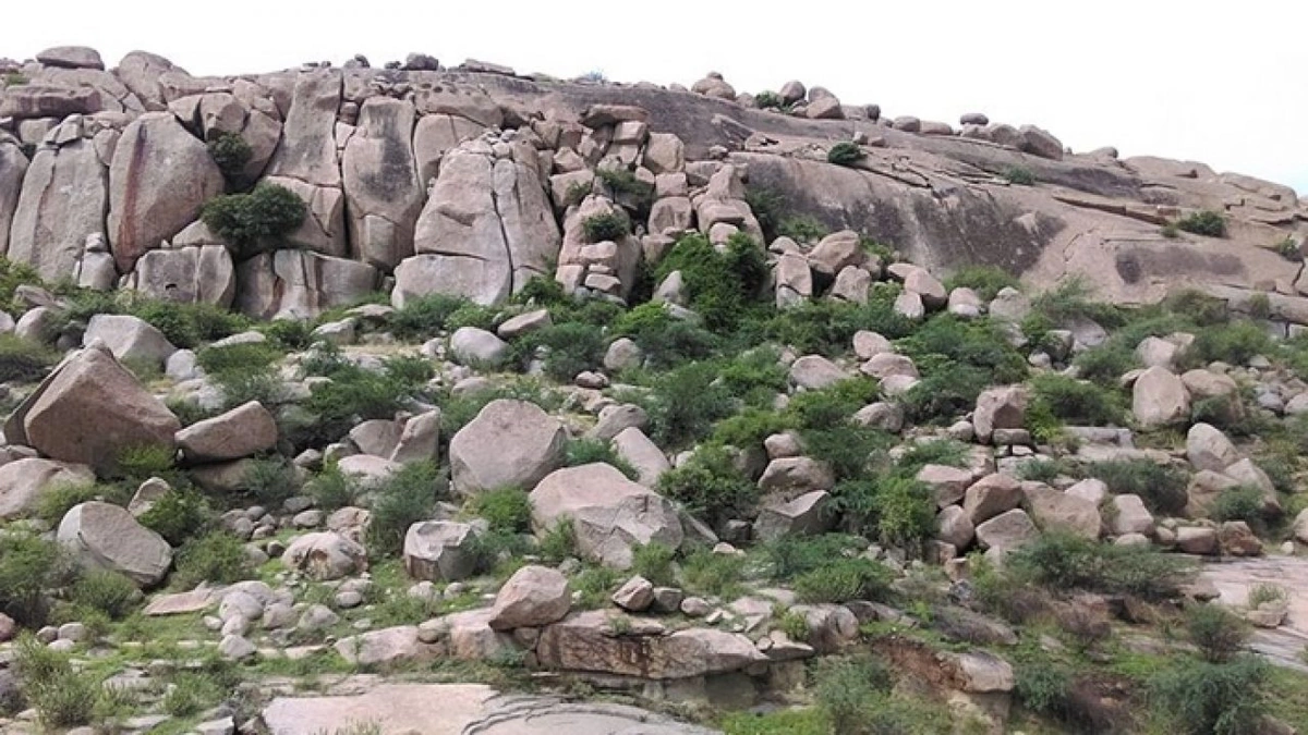 ballari