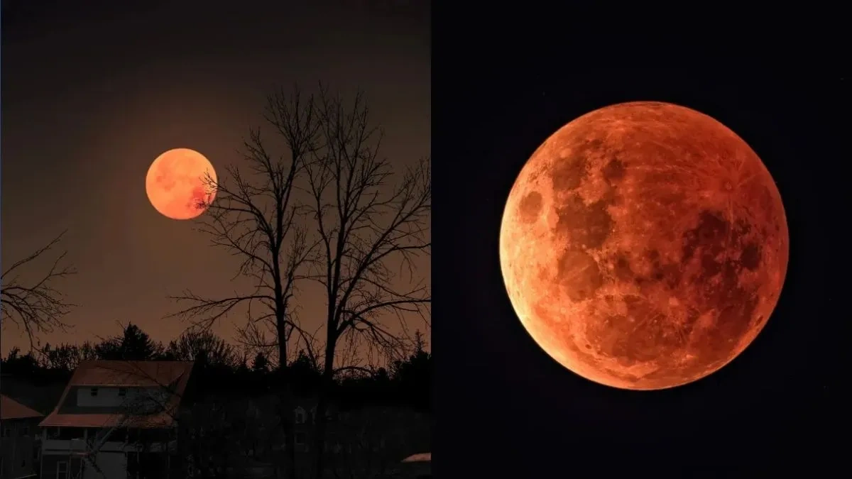 blood moon total lunar eclipse today