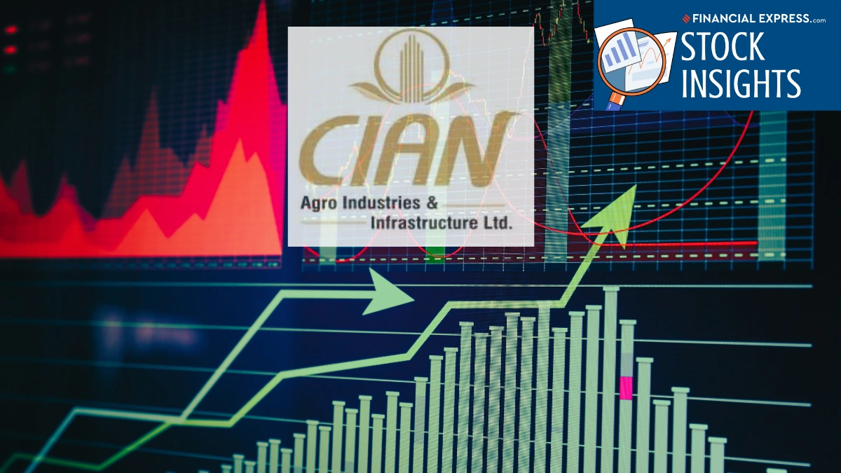 cian agro share price
