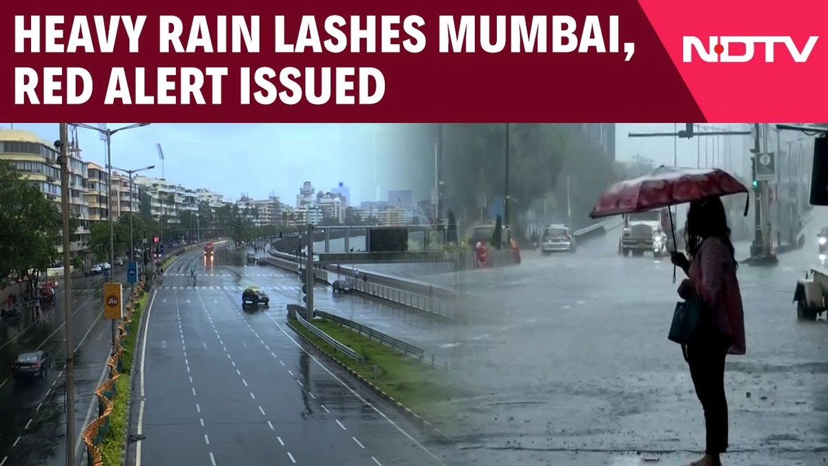 Decoding the Red Alert | More Than Just Rain