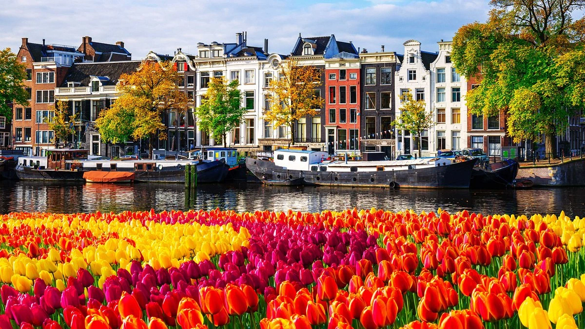 The Dutch Model | A Balancing Act