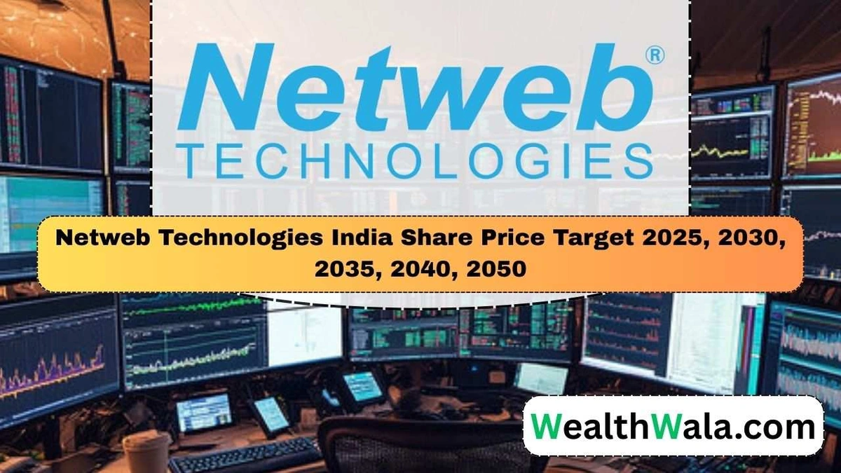 Beyond the Hype | Understanding Netweb's Business