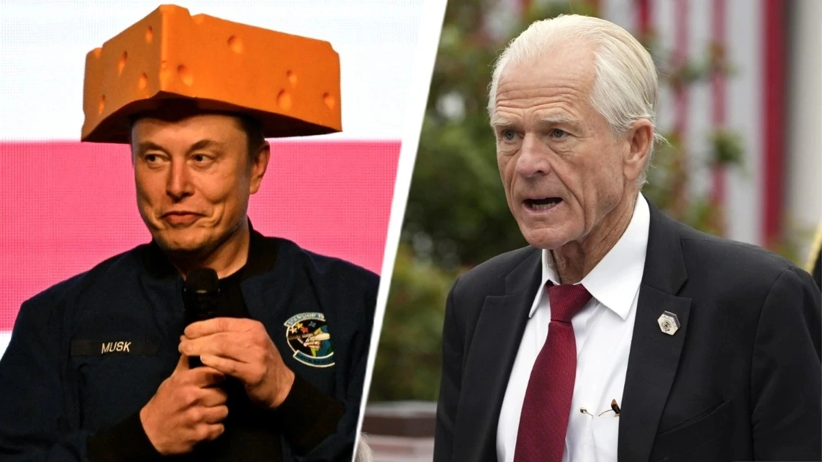 peter navarro elon musk