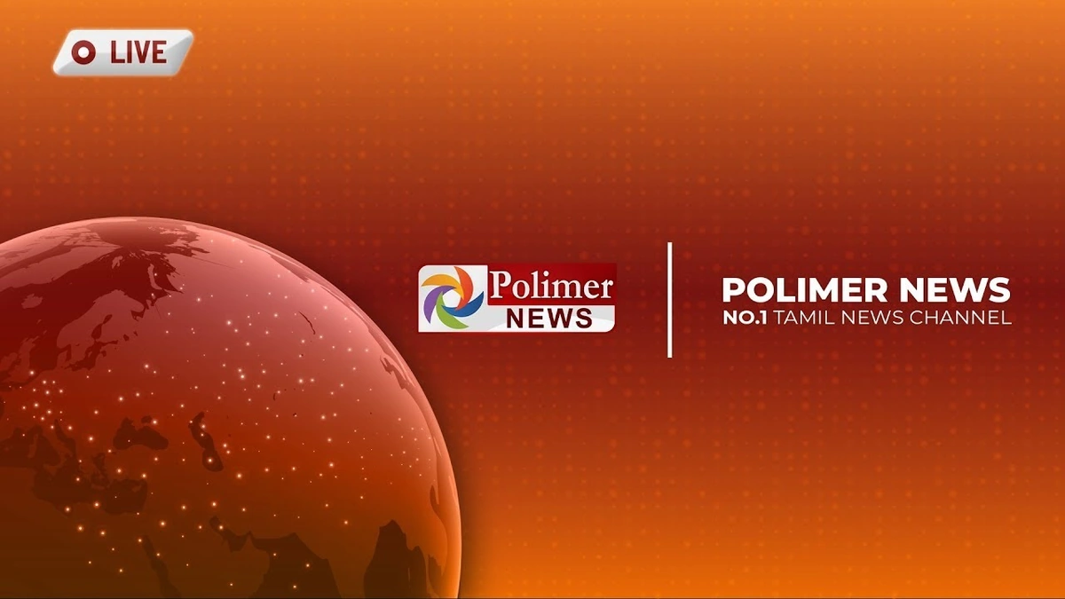 polimer news