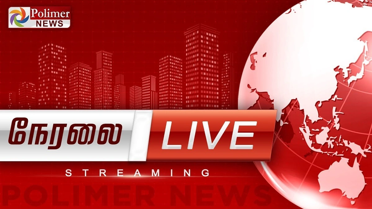 Why Polimer News Isn't Just Another Channel