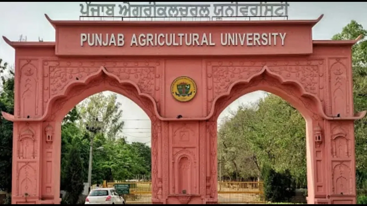 punjab agricultural university