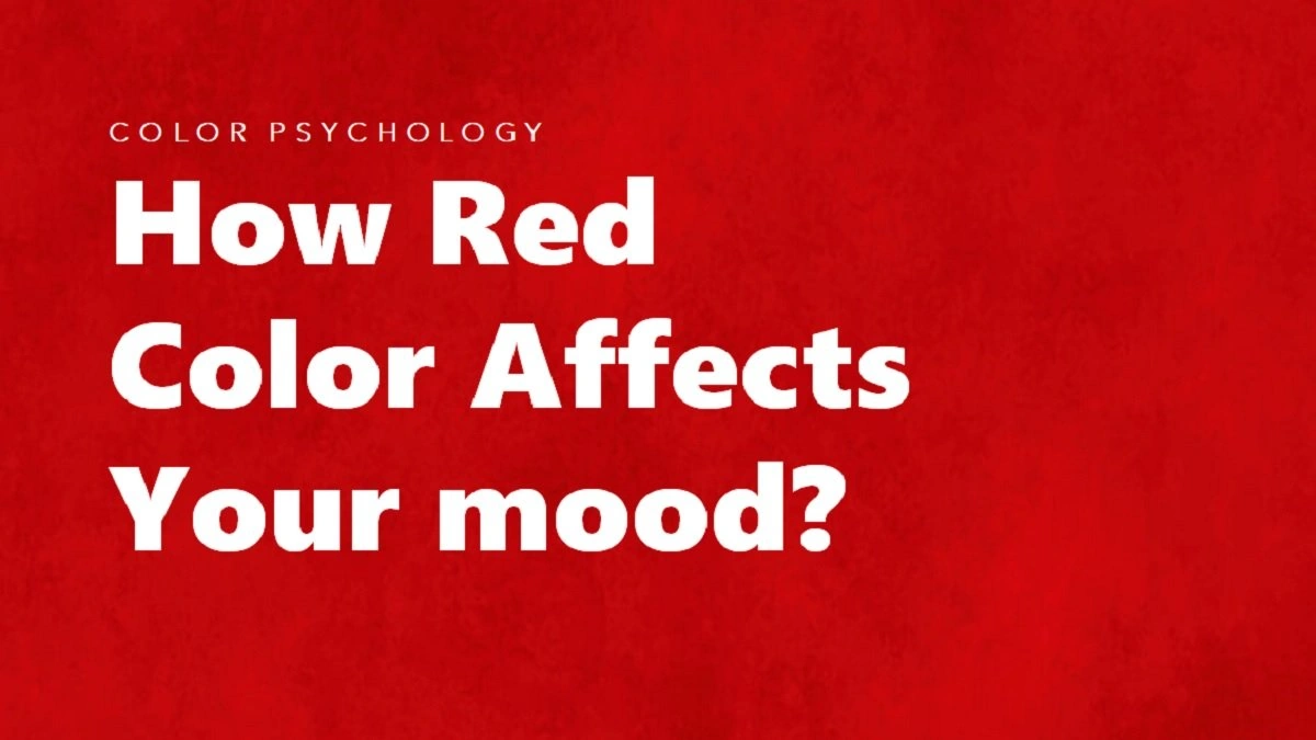 The 'Why' Angle | Unpacking Red's Significance
