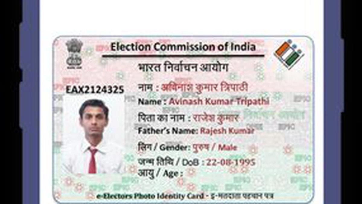 Why Bother Downloading the Voter List? (The 'Why' Angle)