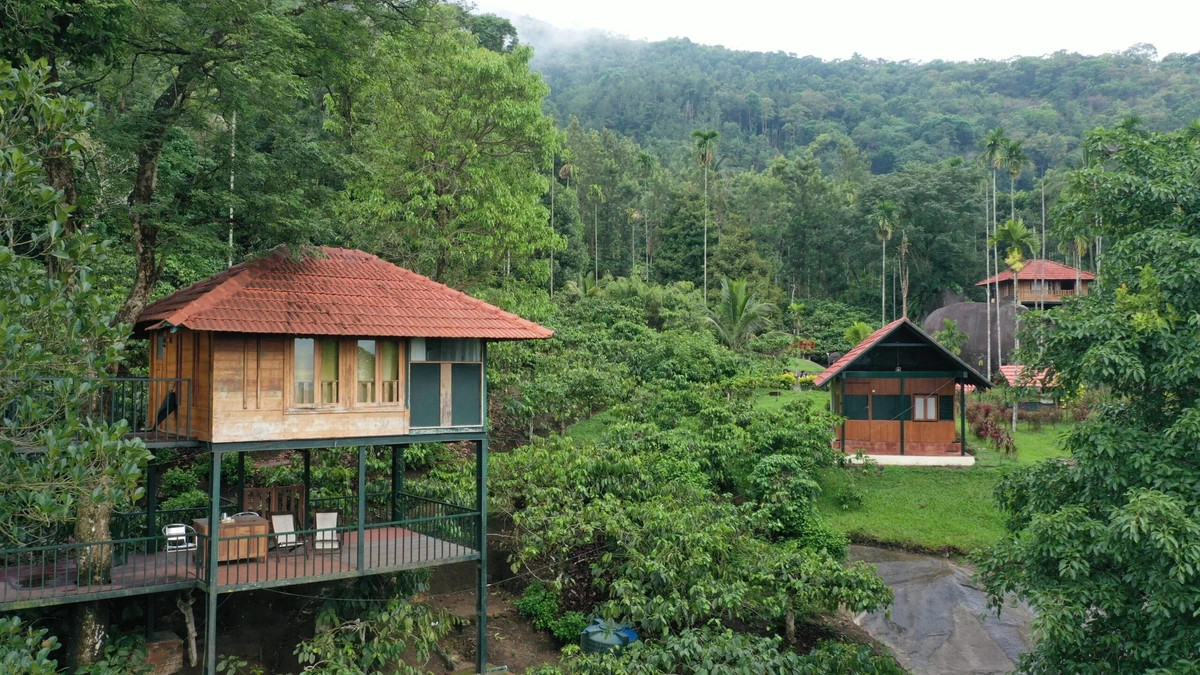 The Allure of the Western Ghats