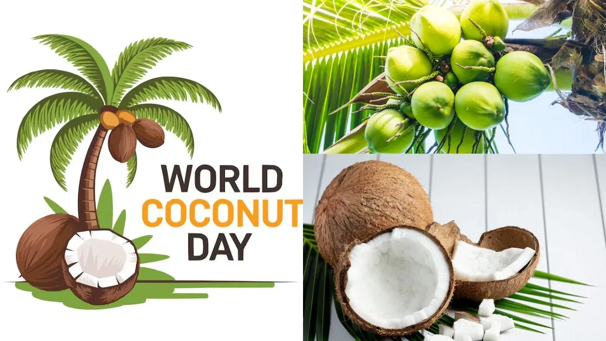 world coconut day