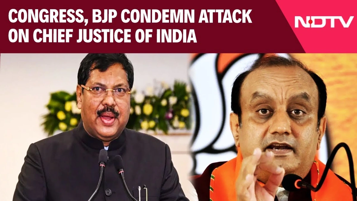 The Immediate Aftermath | Condemnation and Calls for Investigation