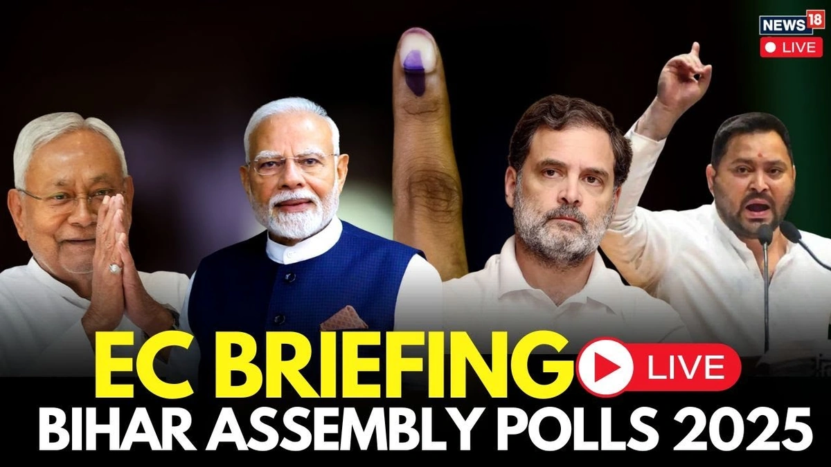 What's at Stake? More Than Just Seats