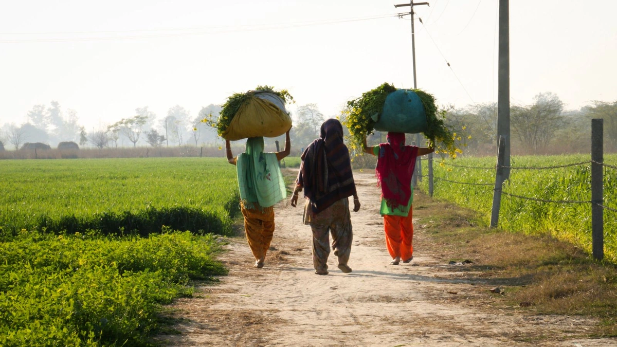The Historical Weight of Caste Discrimination