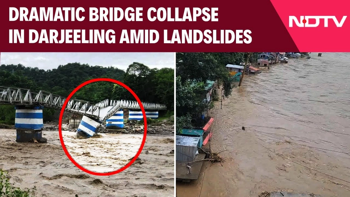 The Devastating Reality of the Collapse