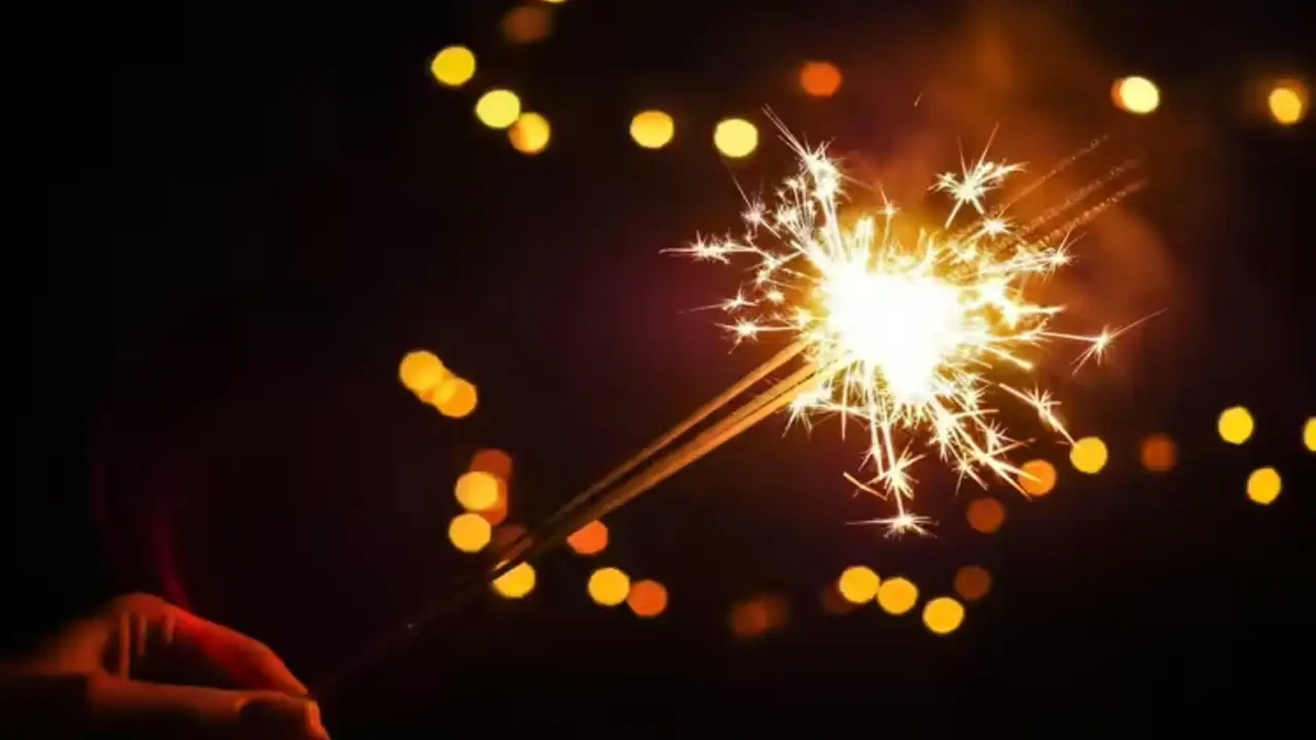 Diwali Firecracker Ban