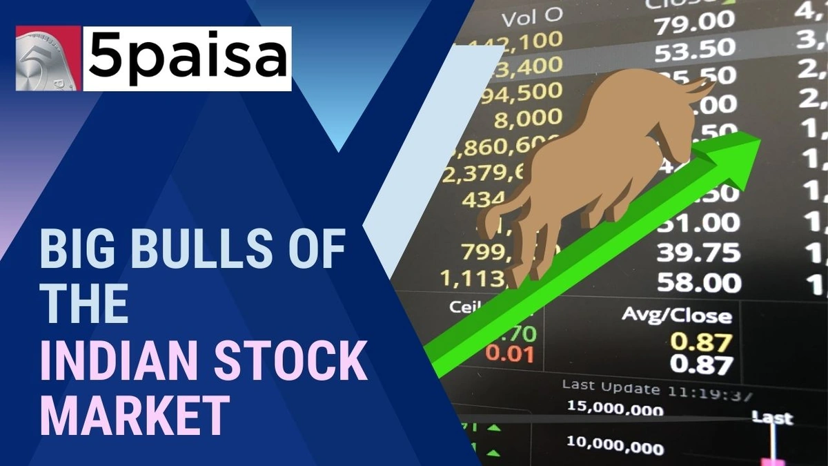 Decoding the Rally | More Than Just Numbers