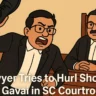 Lawyer Shoe Attack