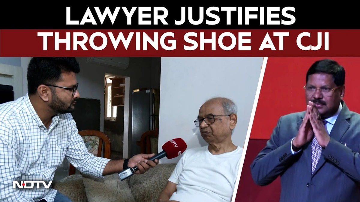 Lawyer Shoe CJI