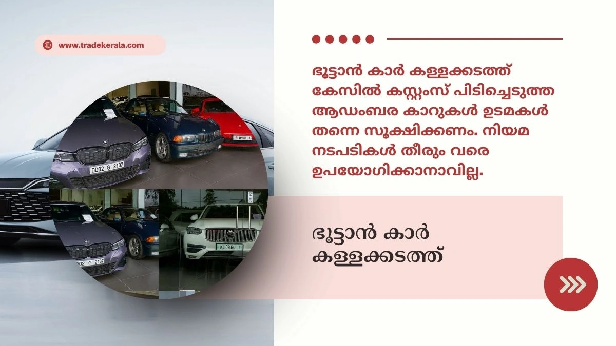 Luxury car smuggling