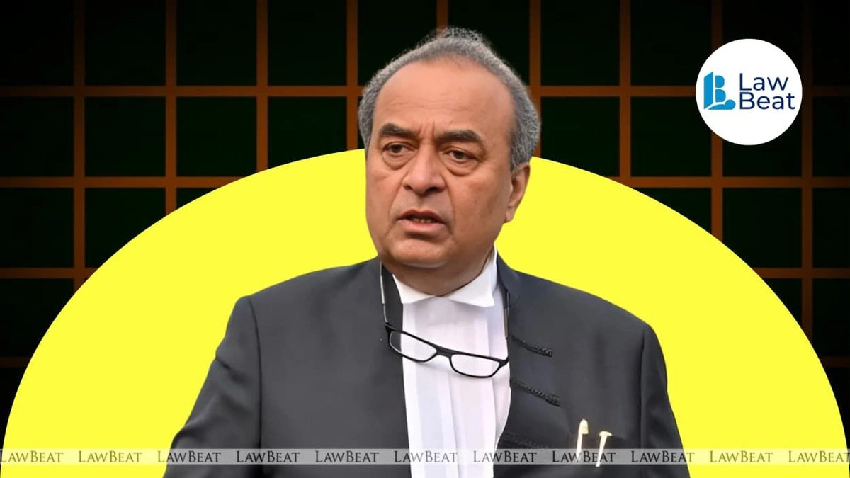 Why Rohatgi's Voice Matters