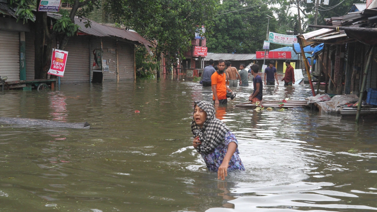 The Allegations | More Than Just Rain?