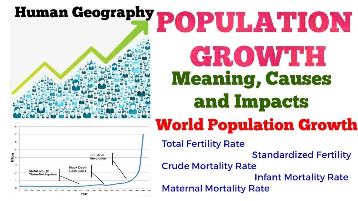 Amit Shah: Influx from Pakistan, Bangladesh Drives Uneven Population Growth 2 The Real Drivers Behind the Numbers