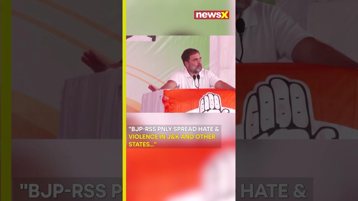 The Accusations | A Political Battlefield