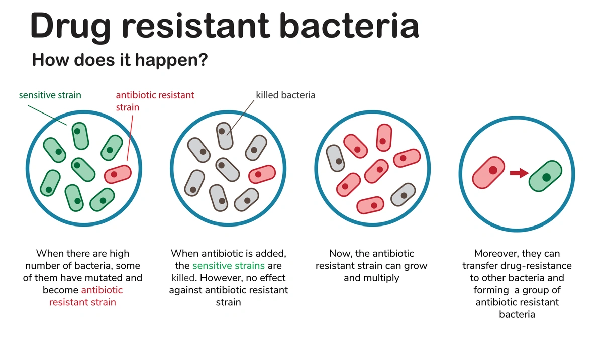 antibiotic resistance