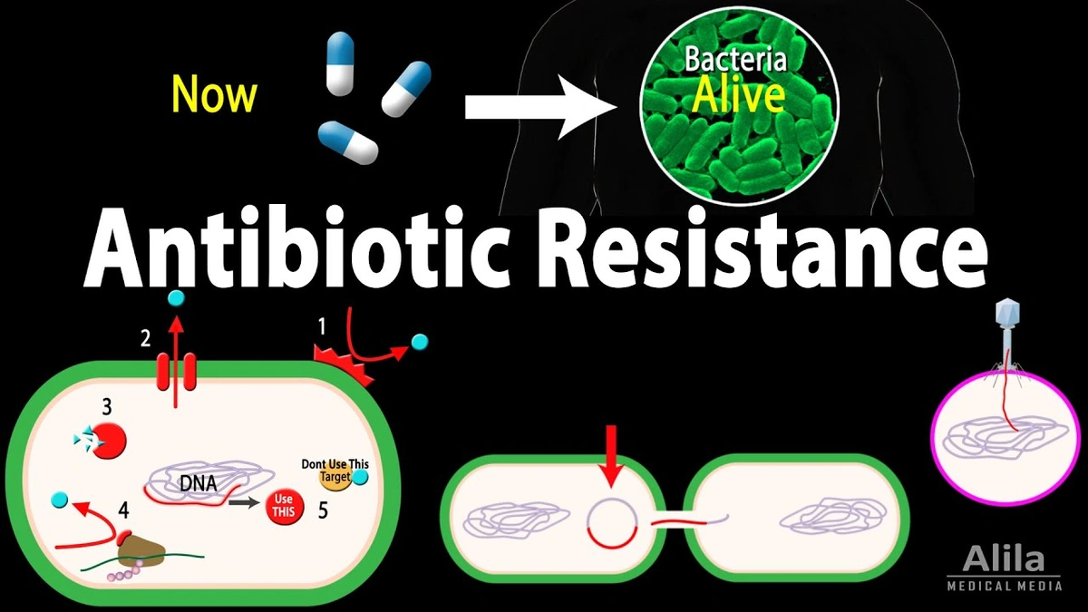 Global Rise in Resistance: WHO Calls for Responsible Antibiotic Resistance Use 2 The Silent Pandemic: WhyAntibiotic ResistanceMatters to You